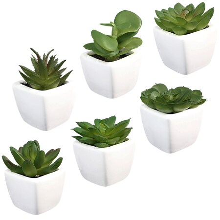 Blue Donuts Set of 6 Fake Artificial Succulent Plants, in White Ceramic Planters BD3933271